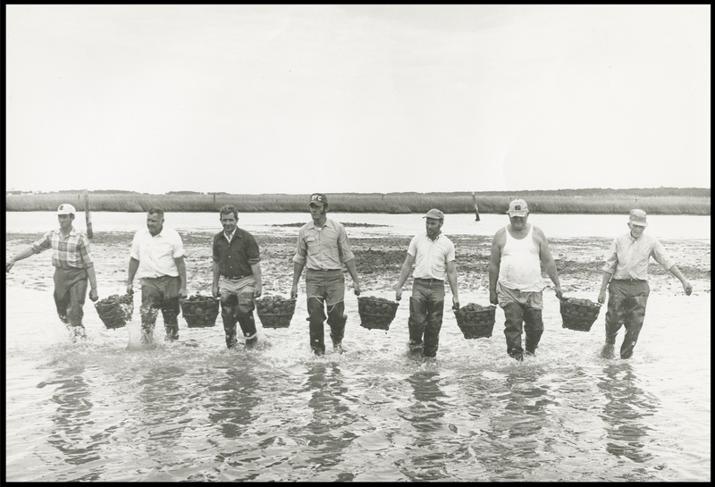 E-Water-1.jpg