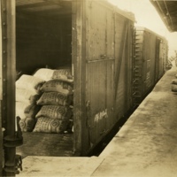 E-LW-1-4.jpg